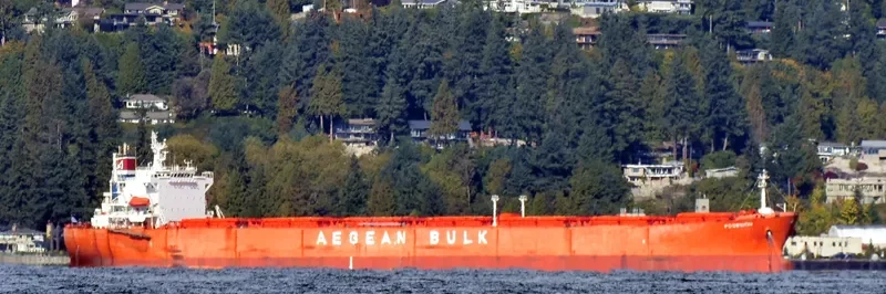 JIN NING 77 Bulk Carrier IMO 9219044
