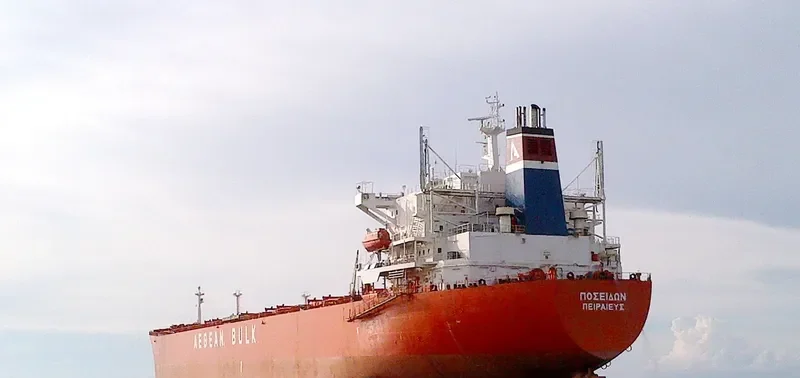 JIN NING 77 Bulk Carrier IMO 9219044 photo 8