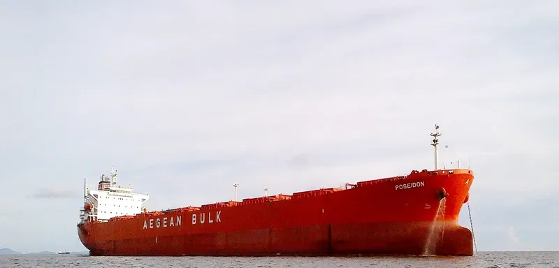 JIN NING 77 Bulk Carrier IMO 9219044 photo 9