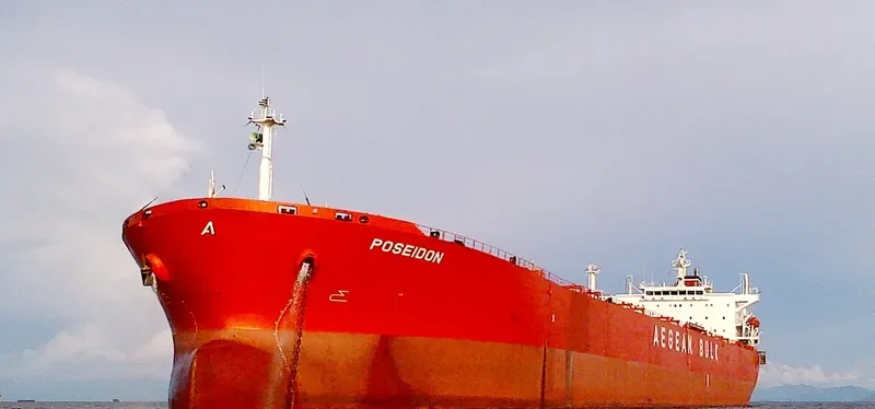 JIN NING 77 Bulk Carrier IMO 9219044 photo 10