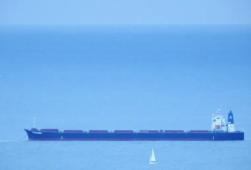 XIN TAI YUAN Bulk Carrier IMO 9219434 photo 3