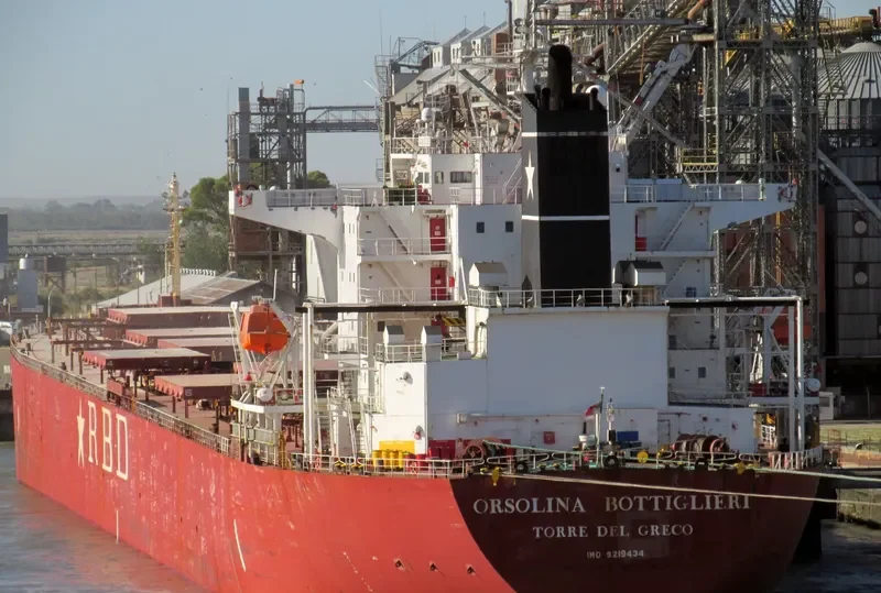 XIN TAI YUAN Bulk Carrier IMO 9219434 photo 6
