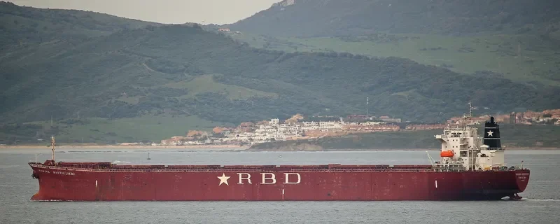XIN TAI YUAN Bulk Carrier IMO 9219434 photo 8
