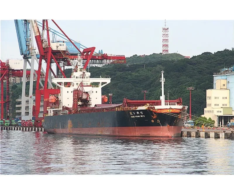SARTIKA BARUNA Bulk Carrier IMO 9219898