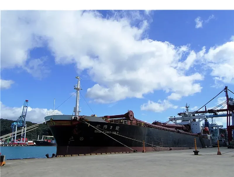 SARTIKA BARUNA Bulk Carrier IMO 9219898 photo 7