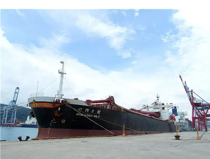 SARTIKA BARUNA Bulk Carrier IMO 9219898 photo 9