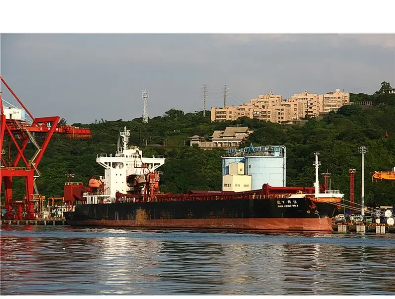 SARTIKA BARUNA Bulk Carrier IMO 9219898 photo 10