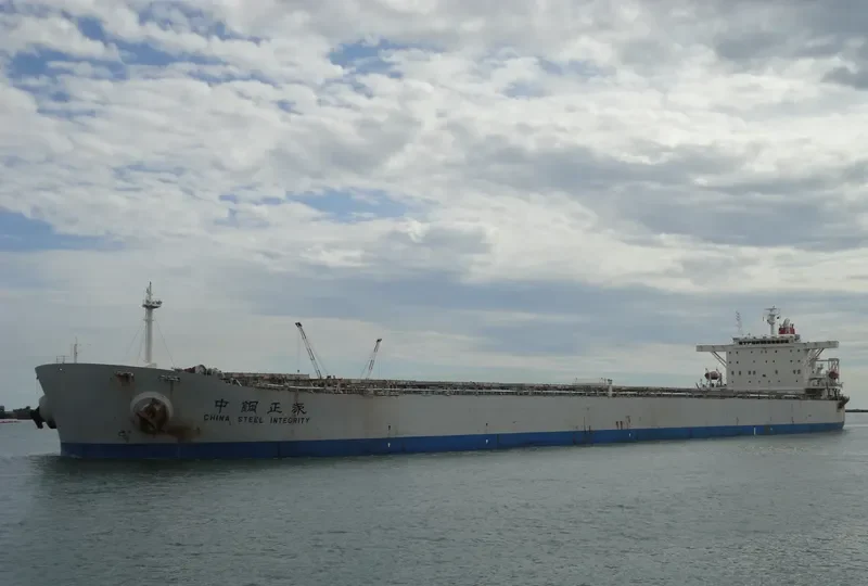 CHINA STEEL INTEGRITY Bulk Carrier IMO 9220225 photo 6