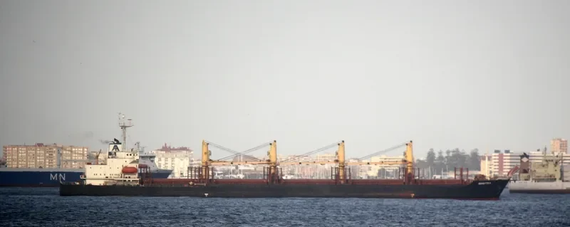 XIN AN JIANG Bulk Carrier IMO 9220483 photo 5
