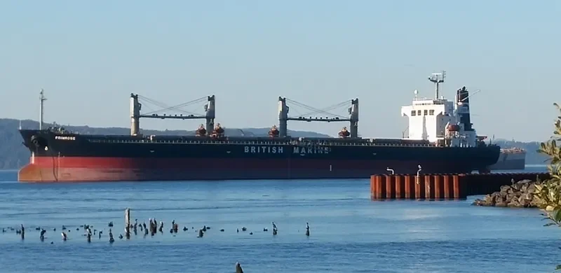 XING SHUN 76 Bulk Carrier IMO 9220706 photo 11
