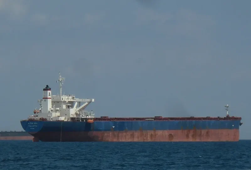 AN LI Bulk Carrier IMO 9220990 photo 3