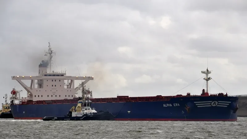 AN LI Bulk Carrier IMO 9220990 photo 9