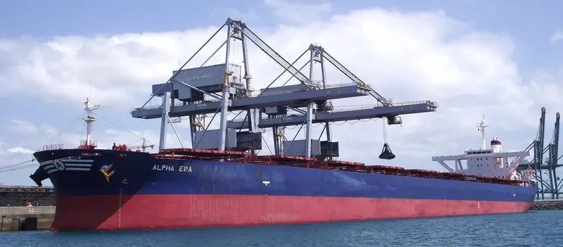 AN LI Bulk Carrier IMO 9220990 photo 10