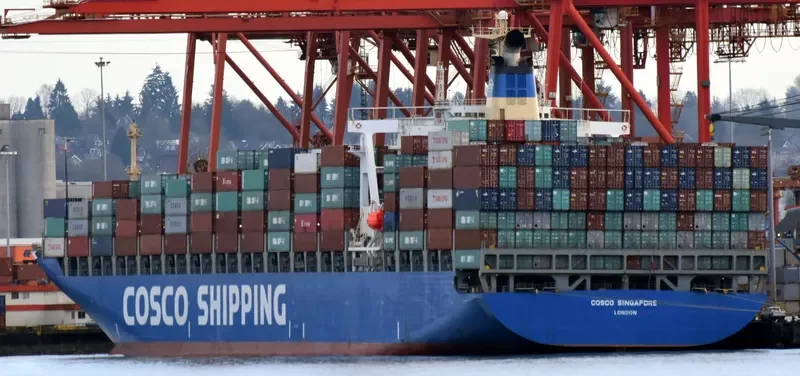 COSCO SINGAPORE Container Ship IMO 9221102 photo 4