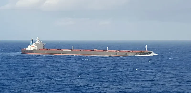CIC CAPTAIN VENIAMIS Bulk Carrier IMO 9221229