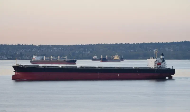 ARCTURUS Bulk Carrier IMO 9221334 photo 6