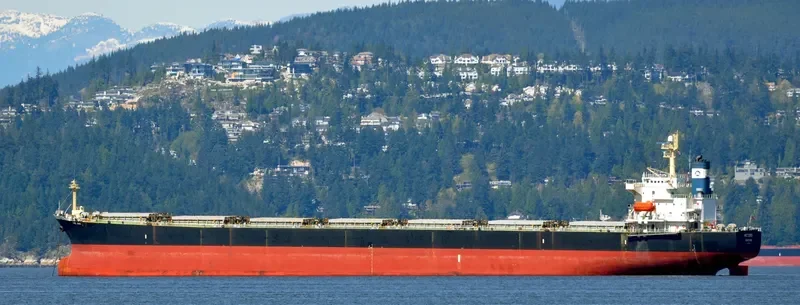 ARCTURUS Bulk Carrier IMO 9221334 photo 10