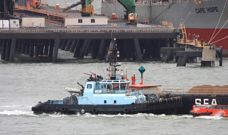 SL BOTANY General Cargo IMO 9221401 photo 2