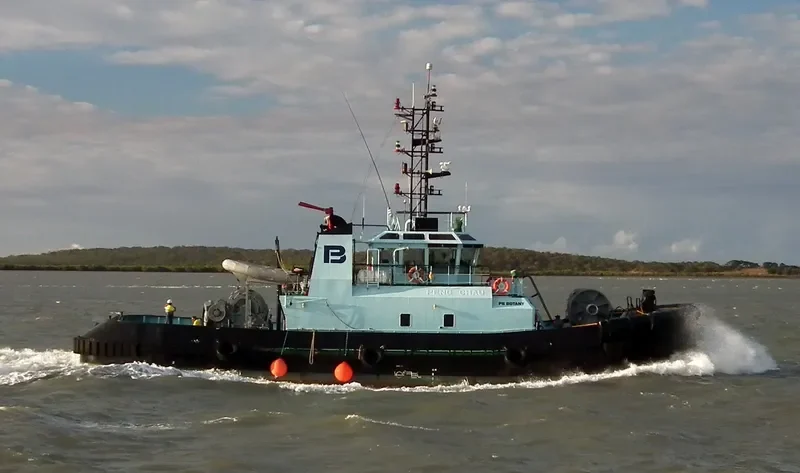 SL BOTANY General Cargo IMO 9221401 photo 9
