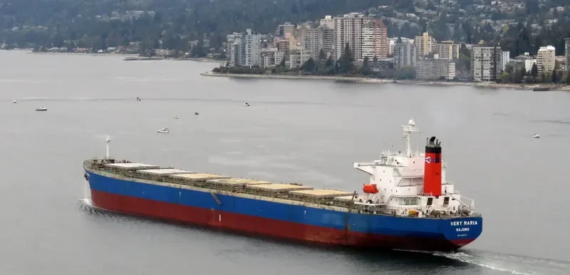 ELVA Bulk Carrier IMO 9221437 photo 2