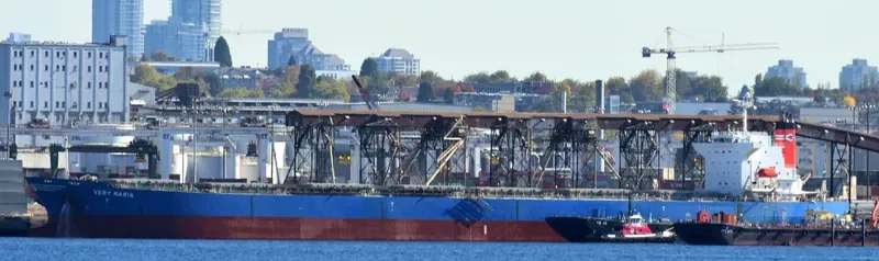 ELVA Bulk Carrier IMO 9221437 photo 3