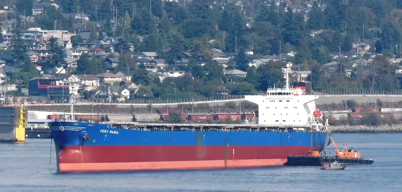 ELVA Bulk Carrier IMO 9221437 photo 10