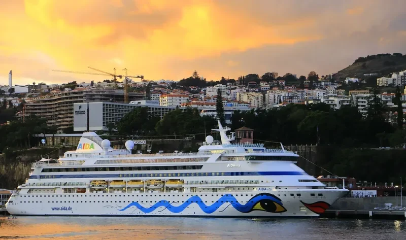 AIDAVITA Passenger Ship IMO 9221554 photo 4
