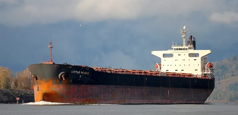 CPT DIMITRIOS S Bulk Carrier IMO 9221592 photo 2