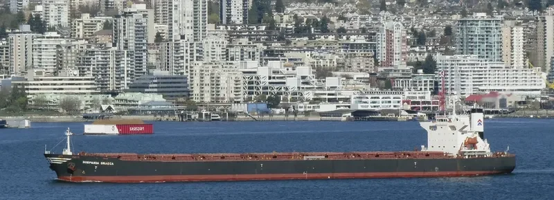 HISPANIA GRAECA Bulk Carrier IMO 9221619 photo 6