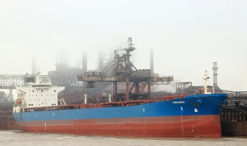 FORTUNE GENIUS Bulk Carrier IMO 9221877