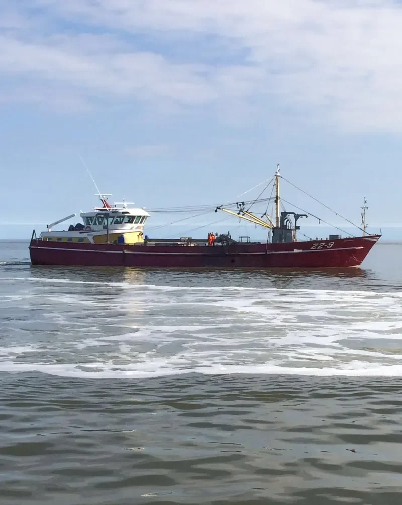 VERTROUWEN General Cargo IMO 9222053