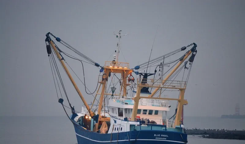 Z60BLUE ANGEL General Cargo IMO 9222077 photo 5