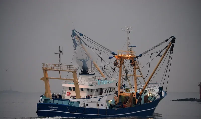 Z60BLUE ANGEL General Cargo IMO 9222077 photo 7