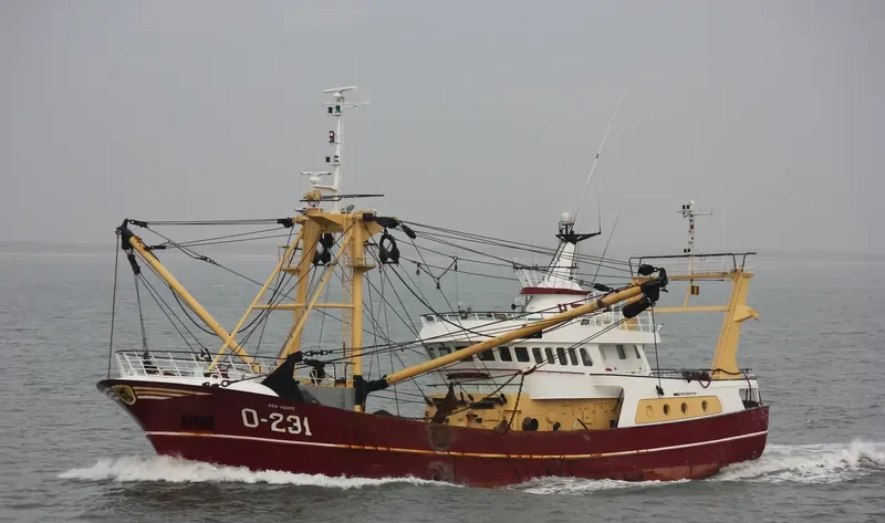 O231 DEN HOOPE General Cargo IMO 9222089