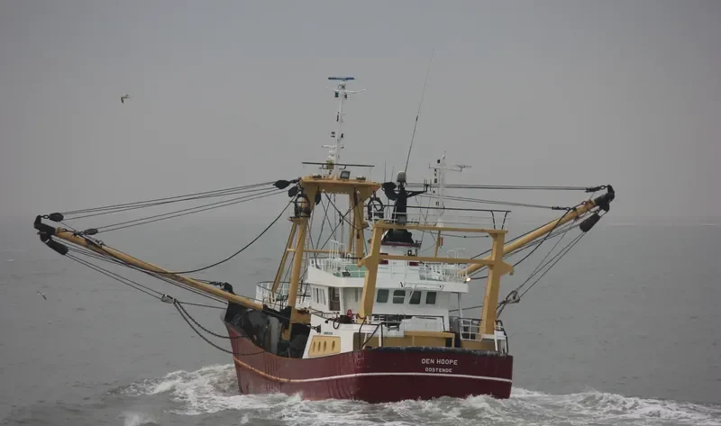 O231 DEN HOOPE General Cargo IMO 9222089 photo 4