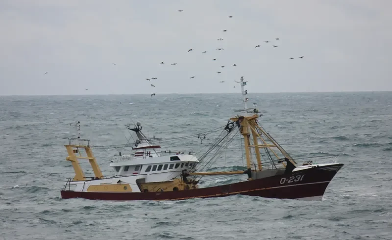 O231 DEN HOOPE General Cargo IMO 9222089 photo 9