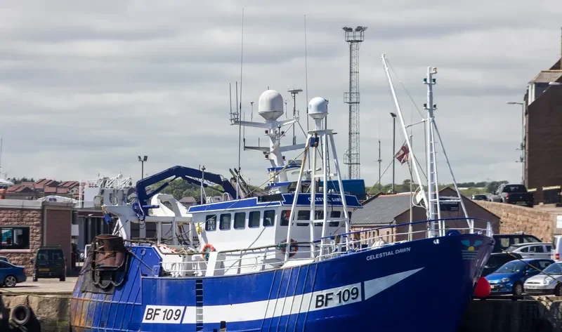 CELESTIAL DAWN General Cargo IMO 9222194 photo 2