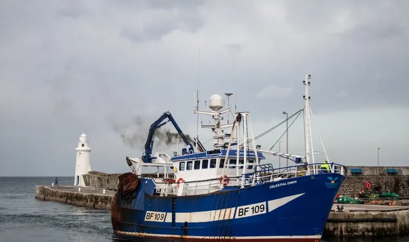 CELESTIAL DAWN General Cargo IMO 9222194 photo 3