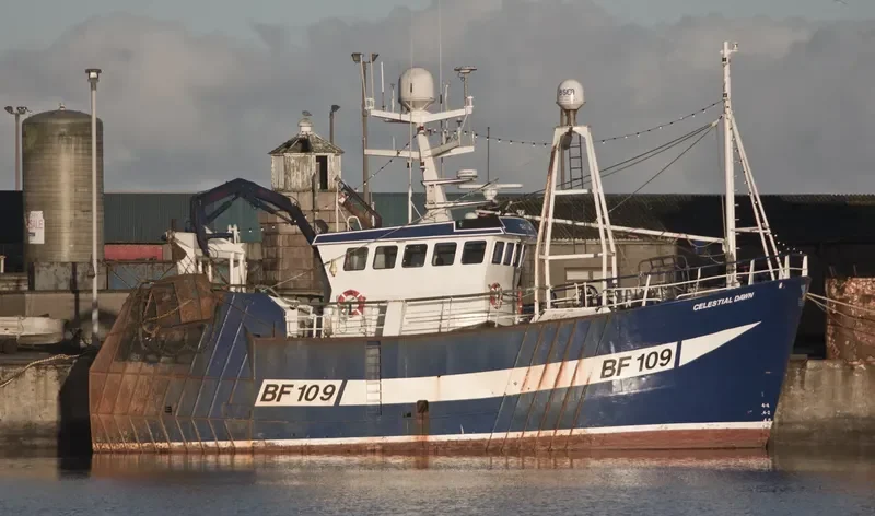 CELESTIAL DAWN General Cargo IMO 9222194 photo 7