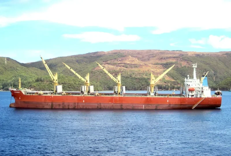 BO YUAN HE Bulk Carrier IMO 9222211 photo 3