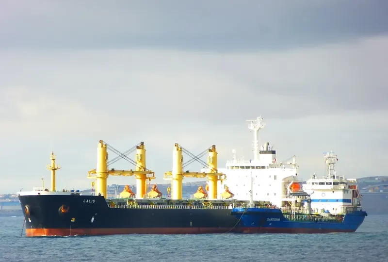 BO YUAN HE Bulk Carrier IMO 9222211 photo 6