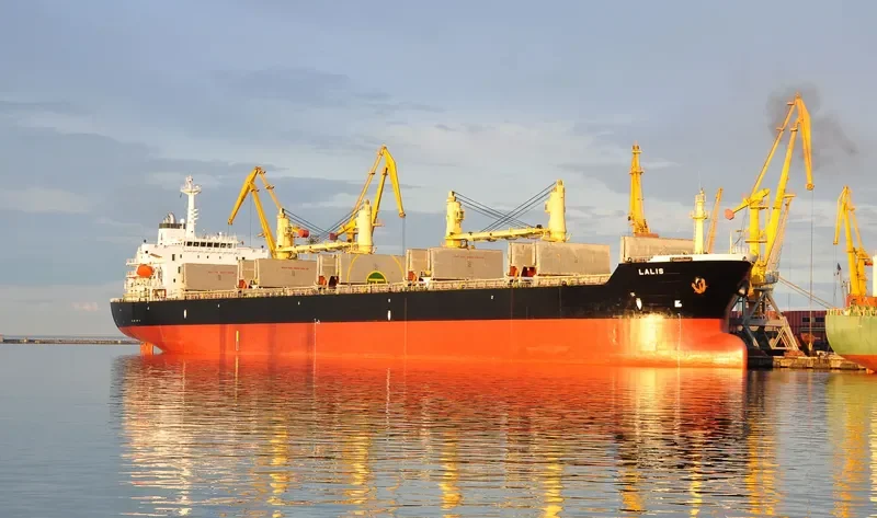 BO YUAN HE Bulk Carrier IMO 9222211 photo 9