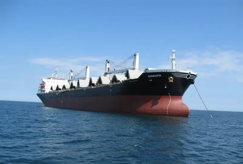 SINO OCEAN Bulk Carrier IMO 9222338 photo 8