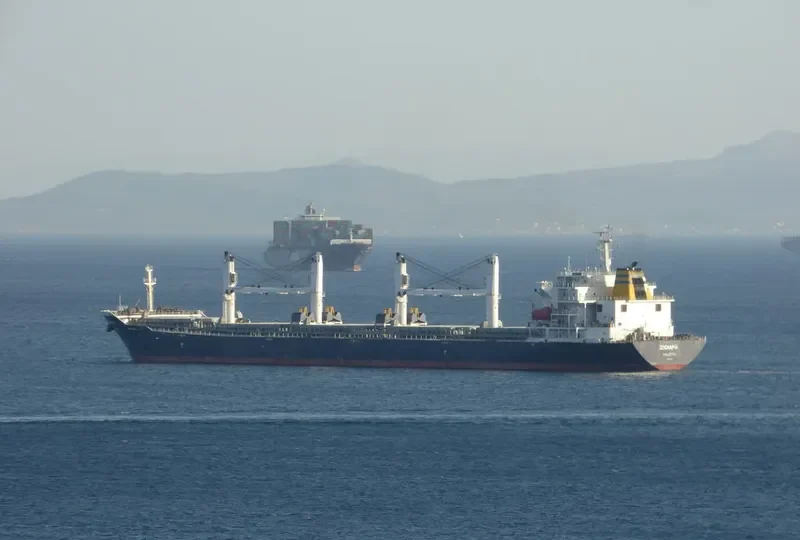 SINO OCEAN Bulk Carrier IMO 9222338 photo 9