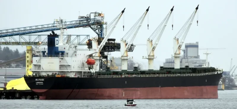 ALMASI Bulk Carrier IMO 9222481 photo 2