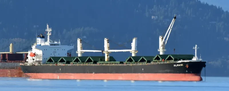 ALMASI Bulk Carrier IMO 9222481 photo 4