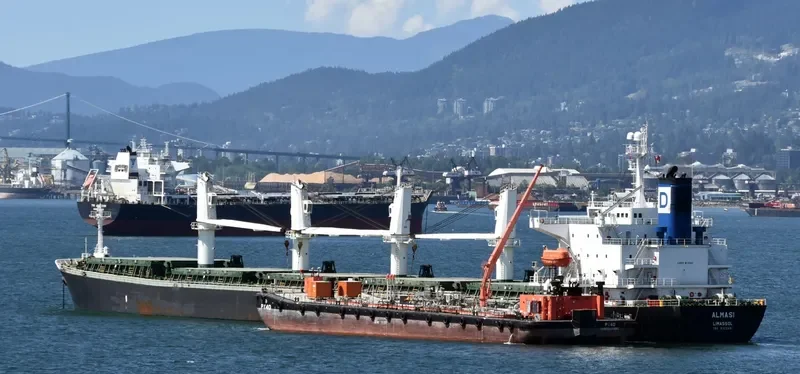 ALMASI Bulk Carrier IMO 9222481 photo 9