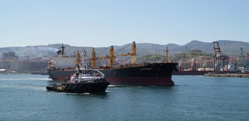 THOR INTEGRITY Bulk Carrier IMO 9222493 photo 2