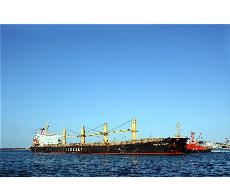 THOR INTEGRITY Bulk Carrier IMO 9222493 photo 7