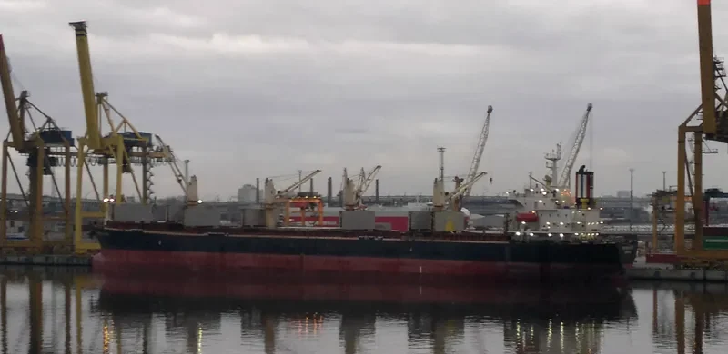 THOR INDEPENDENCE Bulk Carrier IMO 9222510 photo 5